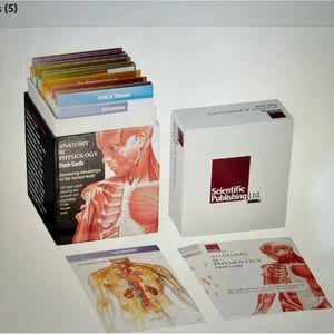 Anatomy & Physiology flash cards